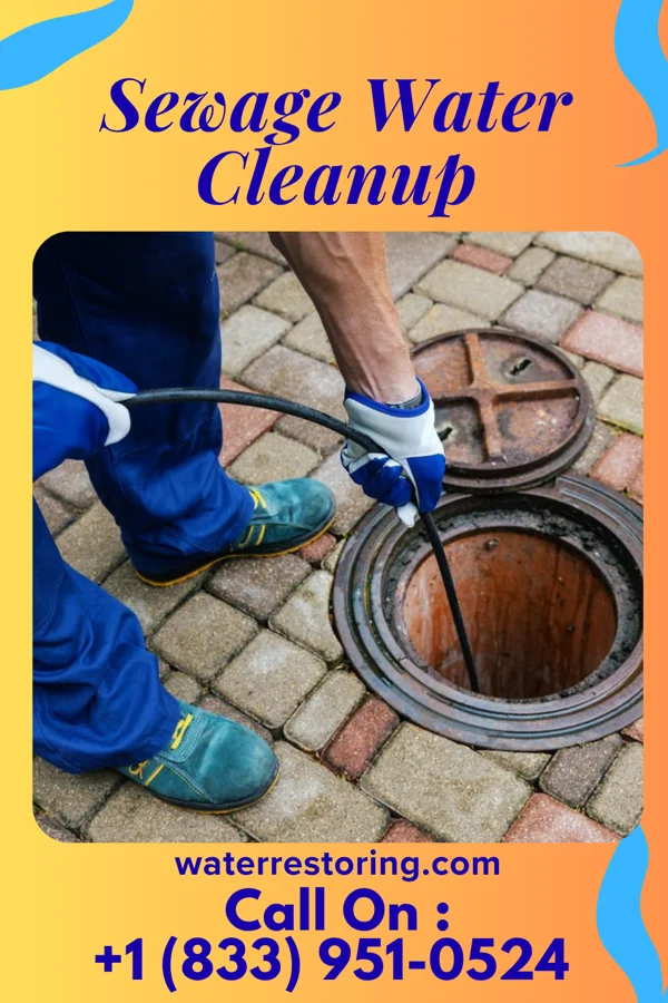 Sewage Water Cleanup in Colburn, IN